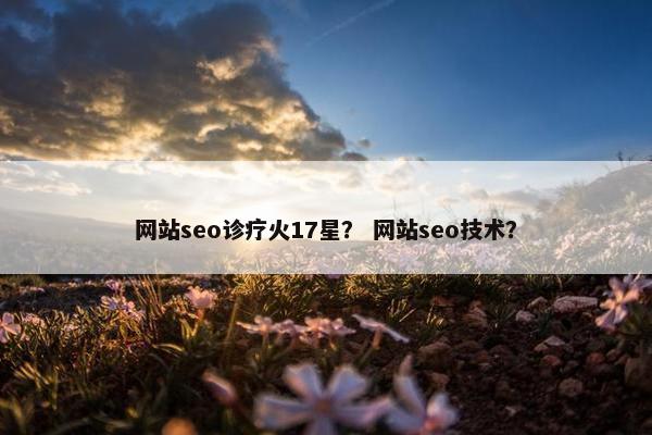 网站seo诊疗火17星？ 网站seo技术？