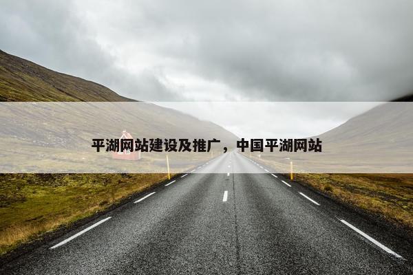 平湖网站建设及推广，中国平湖网站