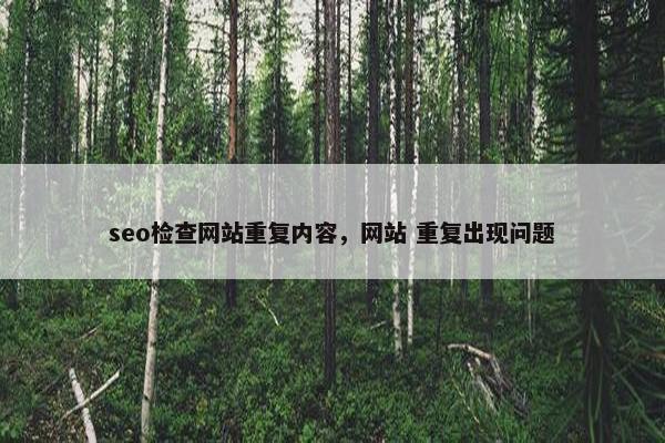 seo检查网站重复内容，网站 重复出现问题