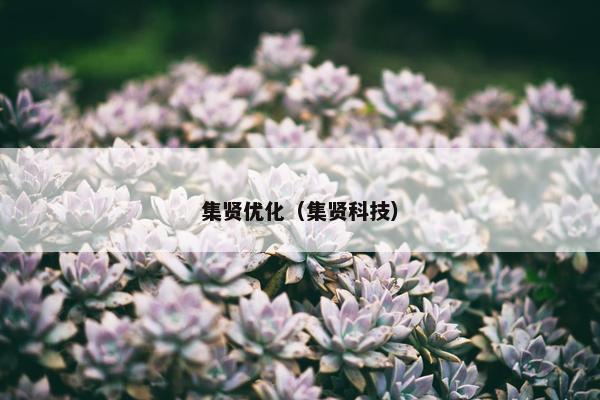 集贤优化（集贤科技）