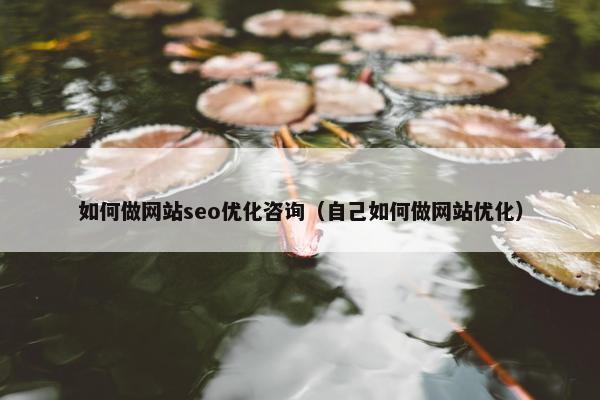 如何做网站seo优化咨询（自己如何做网站优化）