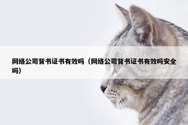 网络公司背书证书有效吗（网络公司背书证书有效吗安全吗）