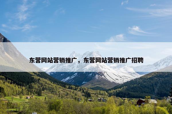 东营网站营销推广，东营网站营销推广招聘