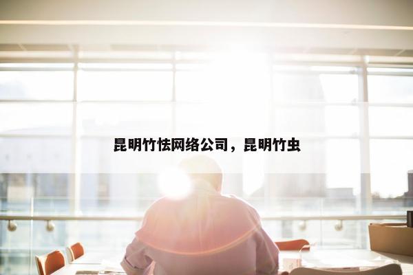 昆明竹怯网络公司，昆明竹虫