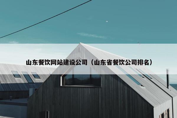 山东餐饮网站建设公司（山东省餐饮公司排名）