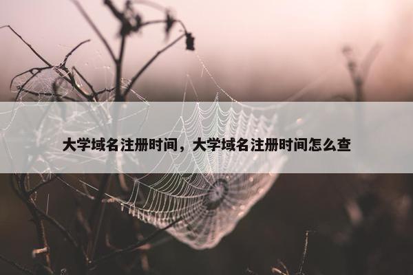 大学域名注册时间，大学域名注册时间怎么查
