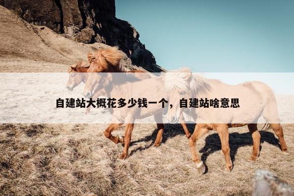 自建站大概花多少钱一个，自建站啥意思