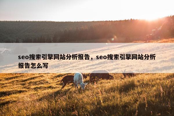seo搜索引擎网站分析报告，seo搜索引擎网站分析报告怎么写