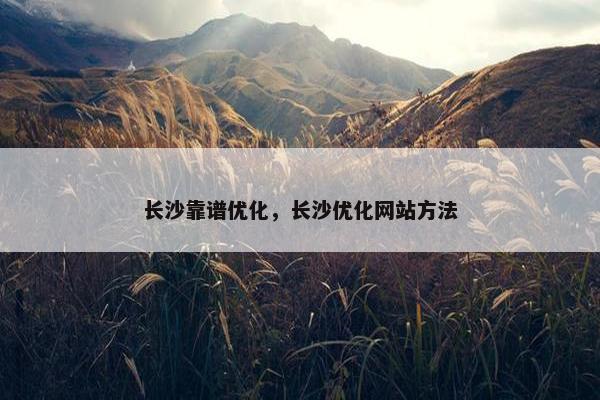 长沙靠谱优化，长沙优化网站方法