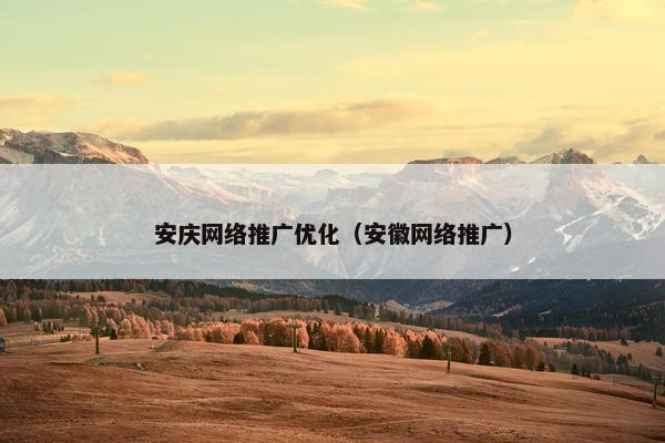 安庆网络推广优化（安徽网络推广）