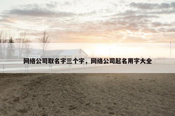 网络公司取名字三个字，网络公司起名用字大全