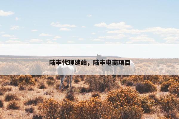 陆丰代理建站，陆丰电商项目
