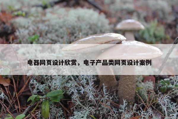 电器网页设计欣赏，电子产品类网页设计案例