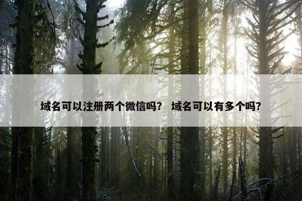 域名可以注册两个微信吗？ 域名可以有多个吗？
