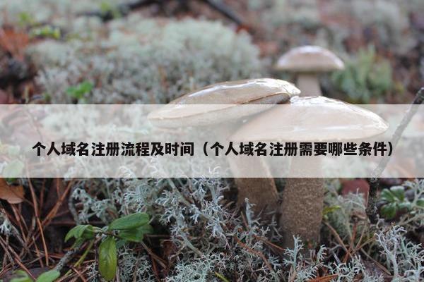 个人域名注册流程及时间（个人域名注册需要哪些条件）