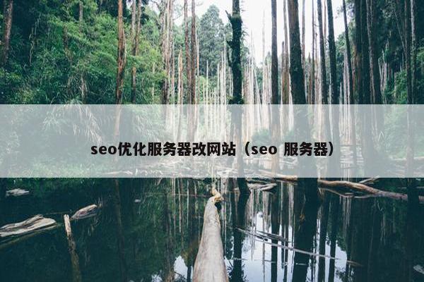 seo优化服务器改网站（seo 服务器）