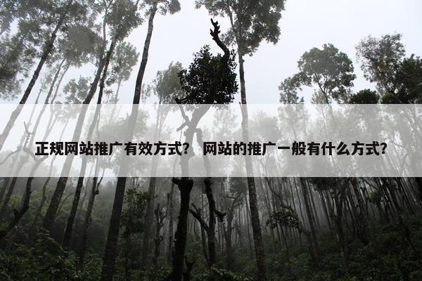 正规网站推广有效方式？ 网站的推广一般有什么方式？