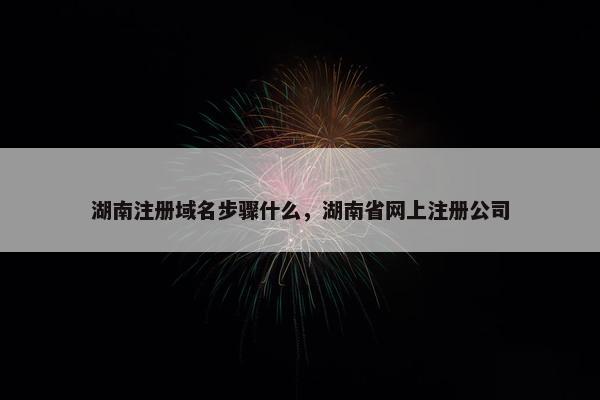 湖南注册域名步骤什么，湖南省网上注册公司