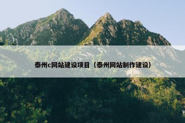 泰州c网站建设项目（泰州网站制作建设）