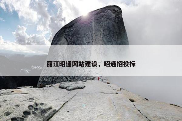 丽江昭通网站建设，昭通招投标