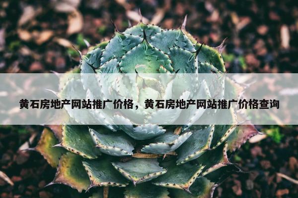 黄石房地产网站推广价格，黄石房地产网站推广价格查询