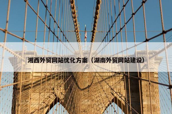湘西外贸网站优化方案（湖南外贸网站建设）