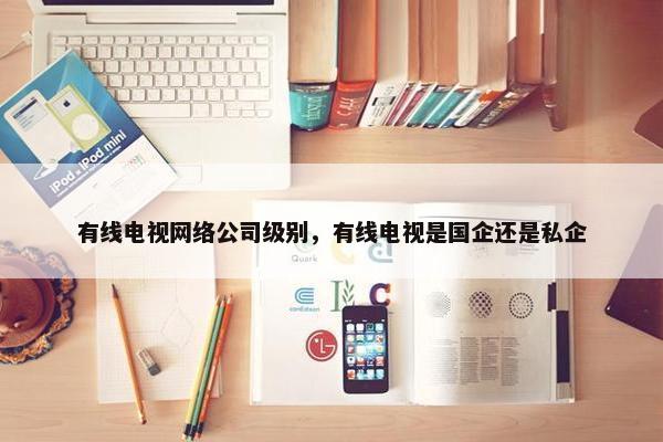 有线电视网络公司级别，有线电视是国企还是私企
