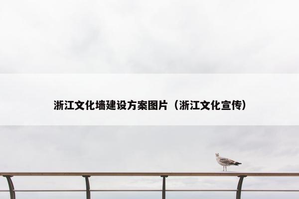 浙江文化墙建设方案图片（浙江文化宣传）
