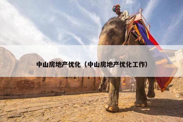 中山房地产优化（中山房地产优化工作）