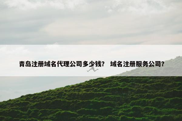 青岛注册域名代理公司多少钱？ 域名注册服务公司？