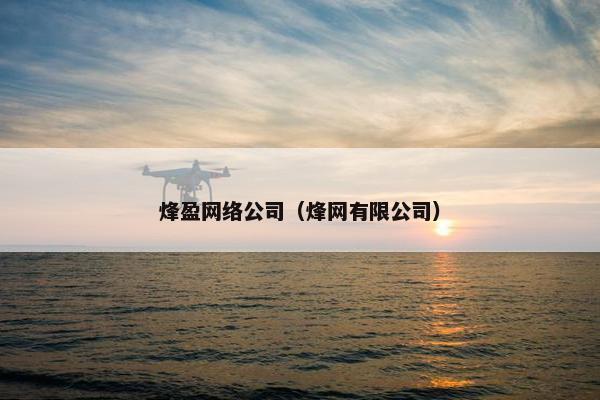 烽盈网络公司（烽网有限公司）