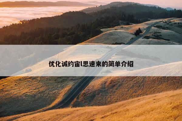 优化诚约宙l思速来的简单介绍