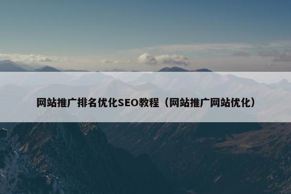 网站推广排名优化SEO教程（网站推广网站优化）