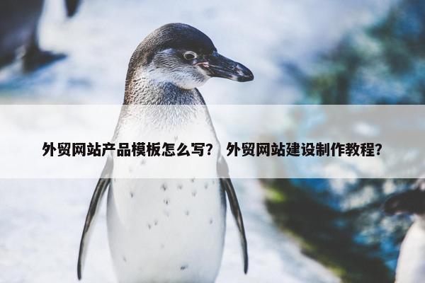 外贸网站产品模板怎么写？ 外贸网站建设制作教程？
