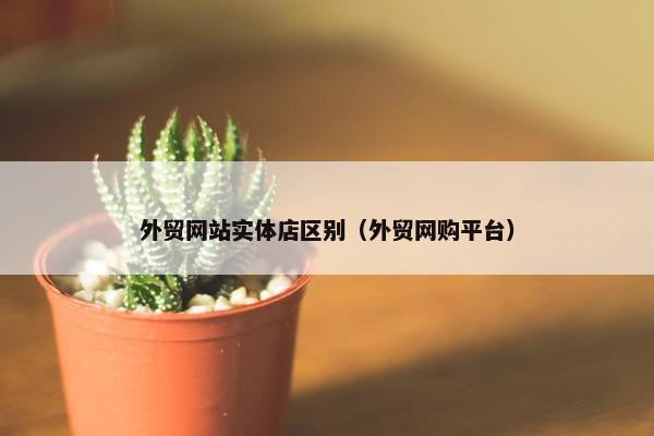外贸网站实体店区别（外贸网购平台）