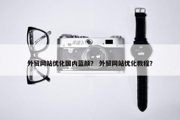 外贸网站优化国内蓝颜？ 外贸网站优化教程？
