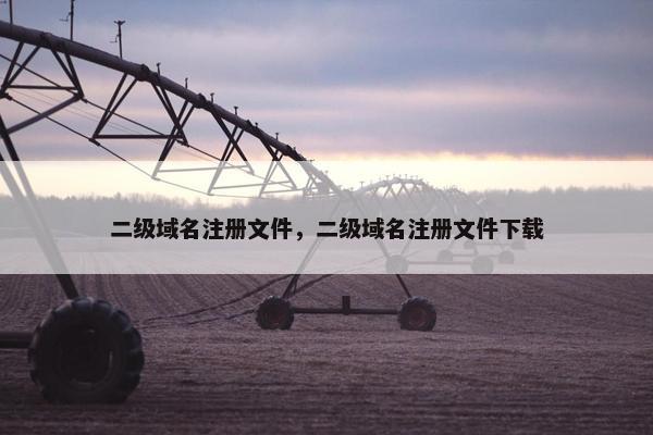 二级域名注册文件，二级域名注册文件下载