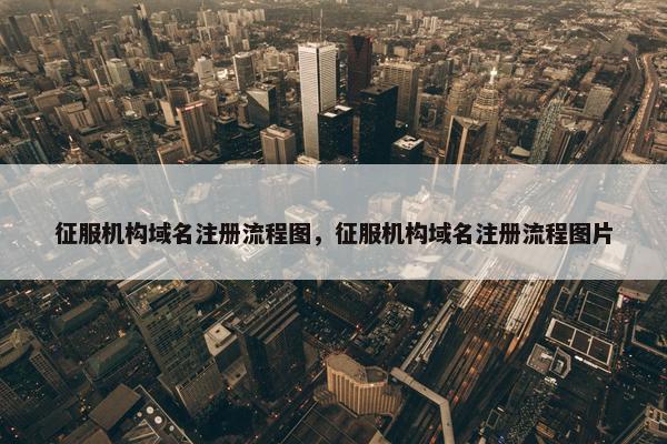 征服机构域名注册流程图，征服机构域名注册流程图片