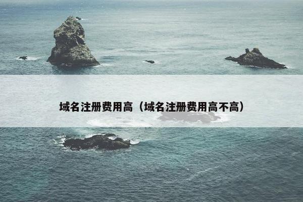 域名注册费用高（域名注册费用高不高）