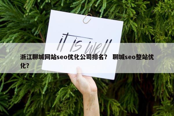 浙江聊城网站seo优化公司排名？ 聊城seo整站优化？