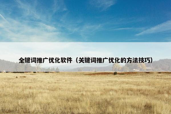 全键词推广优化软件（关键词推广优化的方法技巧）