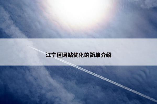 江宁区网站优化的简单介绍