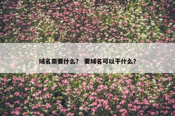 域名需要什么？ 要域名可以干什么？