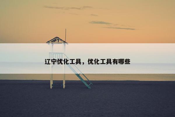 辽宁优化工具，优化工具有哪些
