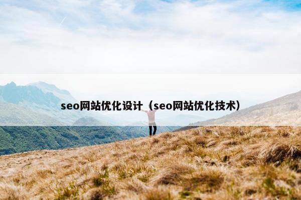 seo网站优化设计（seo网站优化技术）