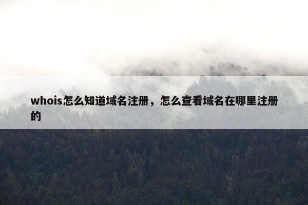 whois怎么知道域名注册，怎么查看域名在哪里注册的