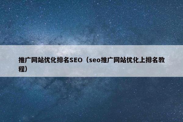 推广网站优化排名SEO（seo推广网站优化上排名教程）
