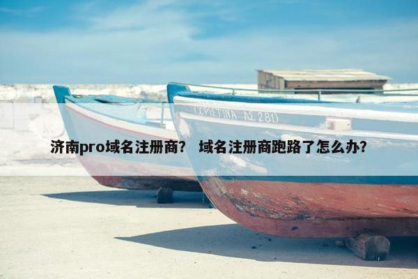 济南pro域名注册商？ 域名注册商跑路了怎么办？