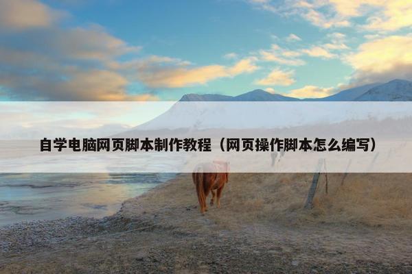 自学电脑网页脚本制作教程（网页操作脚本怎么编写）