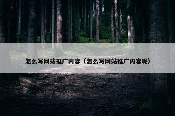 怎么写网站推广内容（怎么写网站推广内容呢）